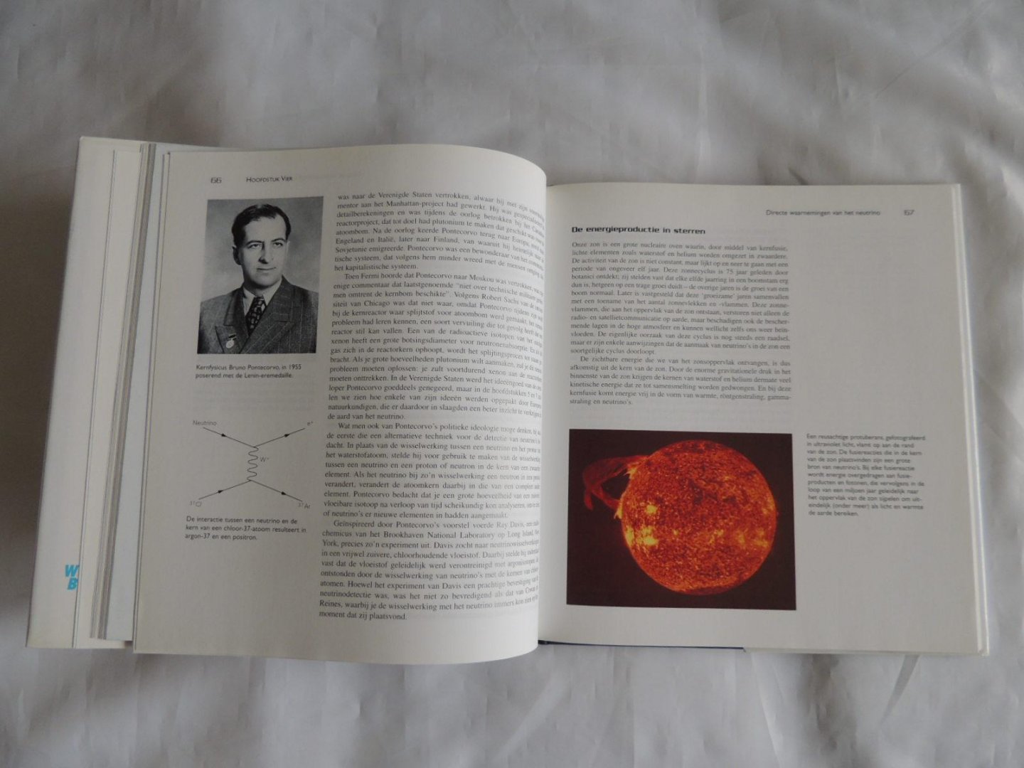Solomey, Nickolas - Het ongrijpbare neutrino, Een subatomair detectiveverhaal - Wetenschappelijke bibliotheek 61
