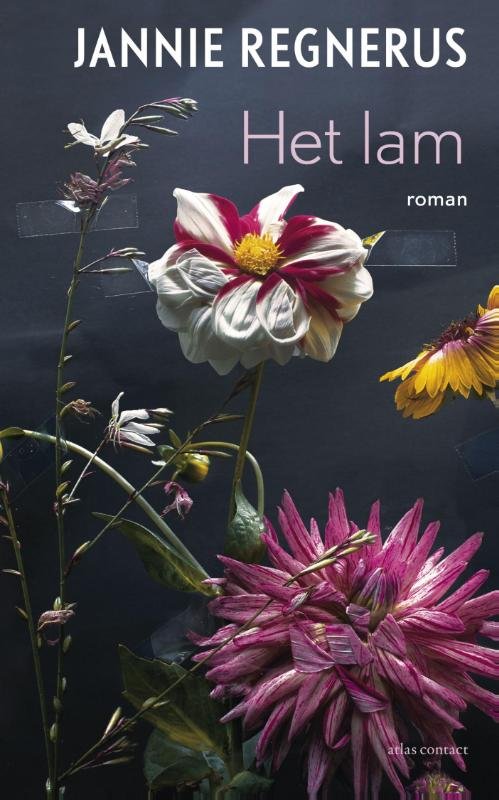 Regnerus, Jannie - Het lam