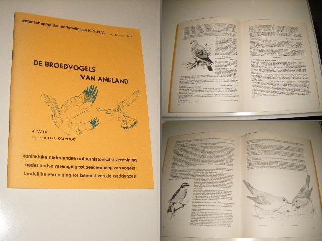 Valk, A. en M.J.C. Kolvoort (ill.) - De broedvogels van Ameland