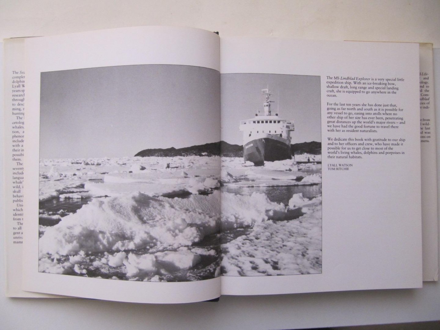 Loyaal Watson - Whales of the world (sea guide to)