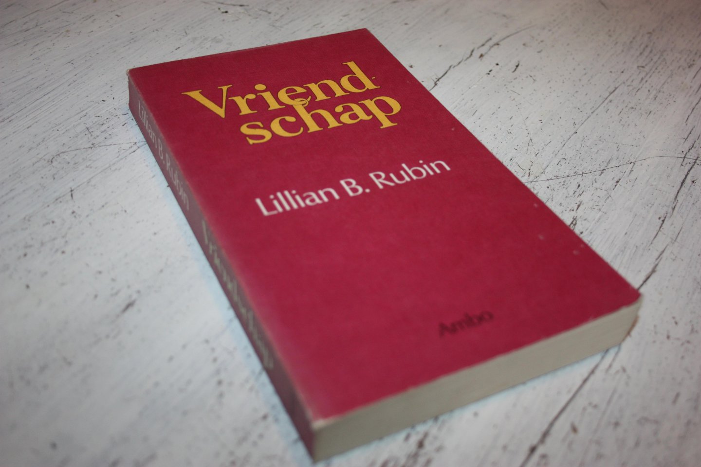 Rubin, Lillian B. - Lillian B. Rubin /  VRIENDSCHAP