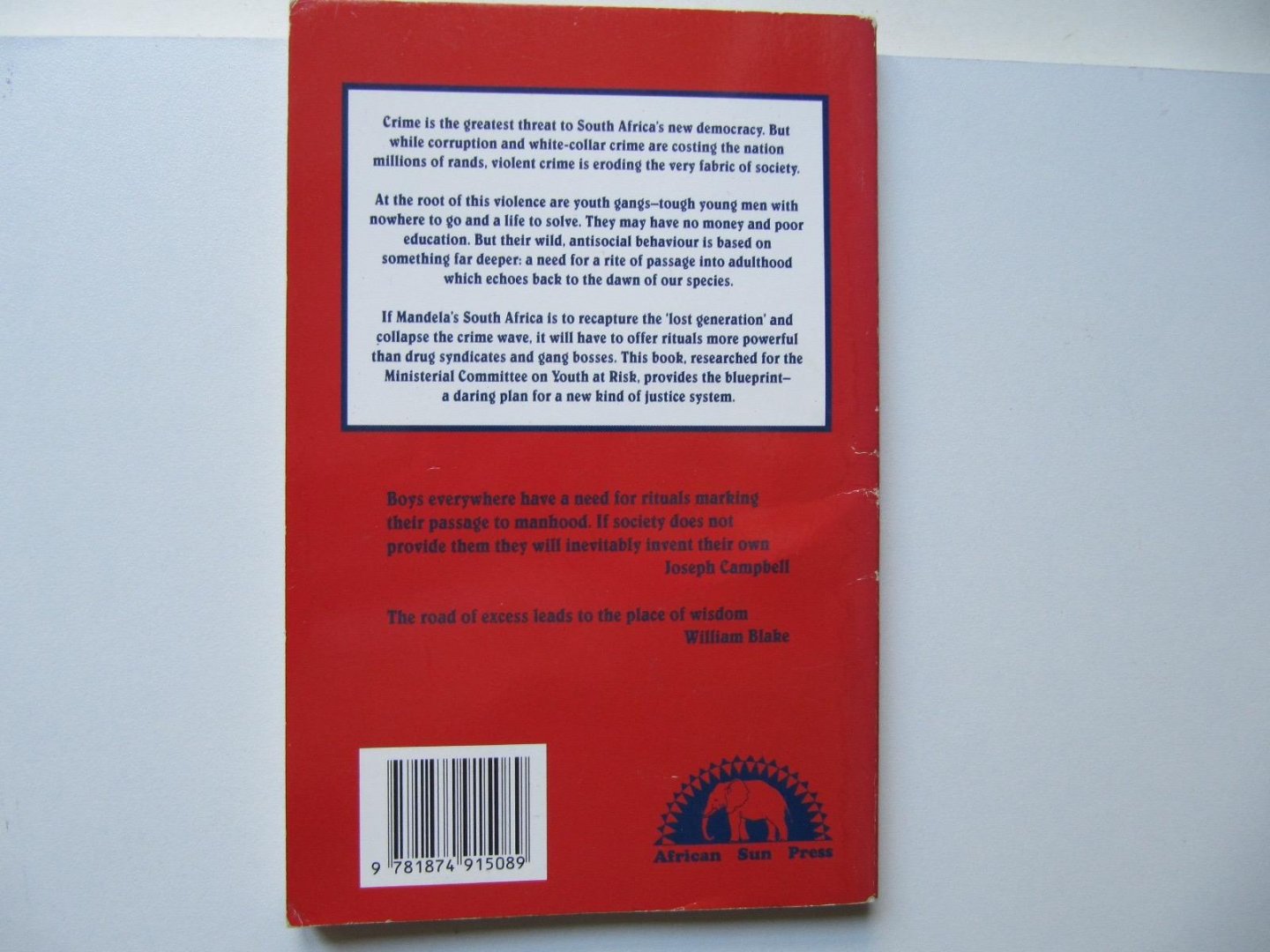 Don Pinnock - Gangs rituals & rites of passage