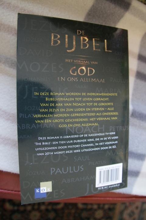 Downey, Roma / Burnett, Mark - De Bijbel / Het verhaal van God en ons allemaal