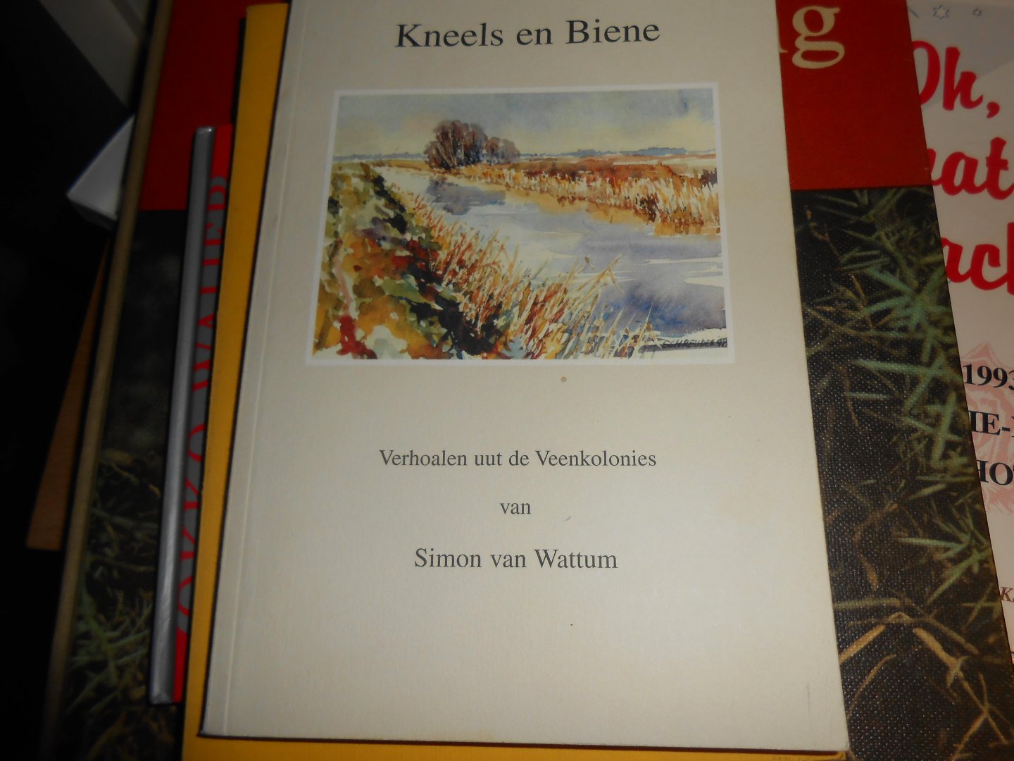 Simon van Wattum - Kneel en Biene