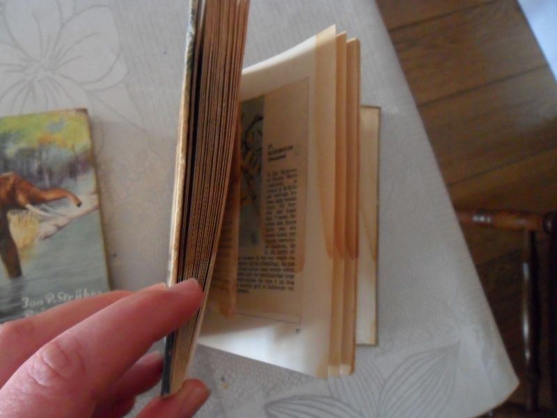 Strijbos P. Jan / Stuurman Rein - De Kruger-Wildtuin in Zuid-Afrika 2 delen