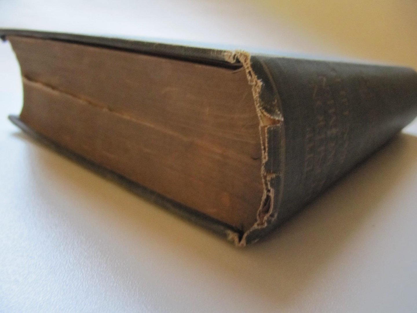 Her Highness The Maharani of Baroda and S.M. Mitra - The Position of Women in Indian Life