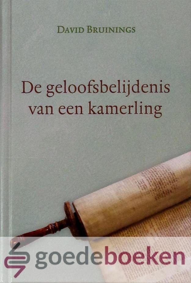 Bruinings, David - De geloofsbelijdenis van een kamerling *nieuw* nu van  15,90 voor