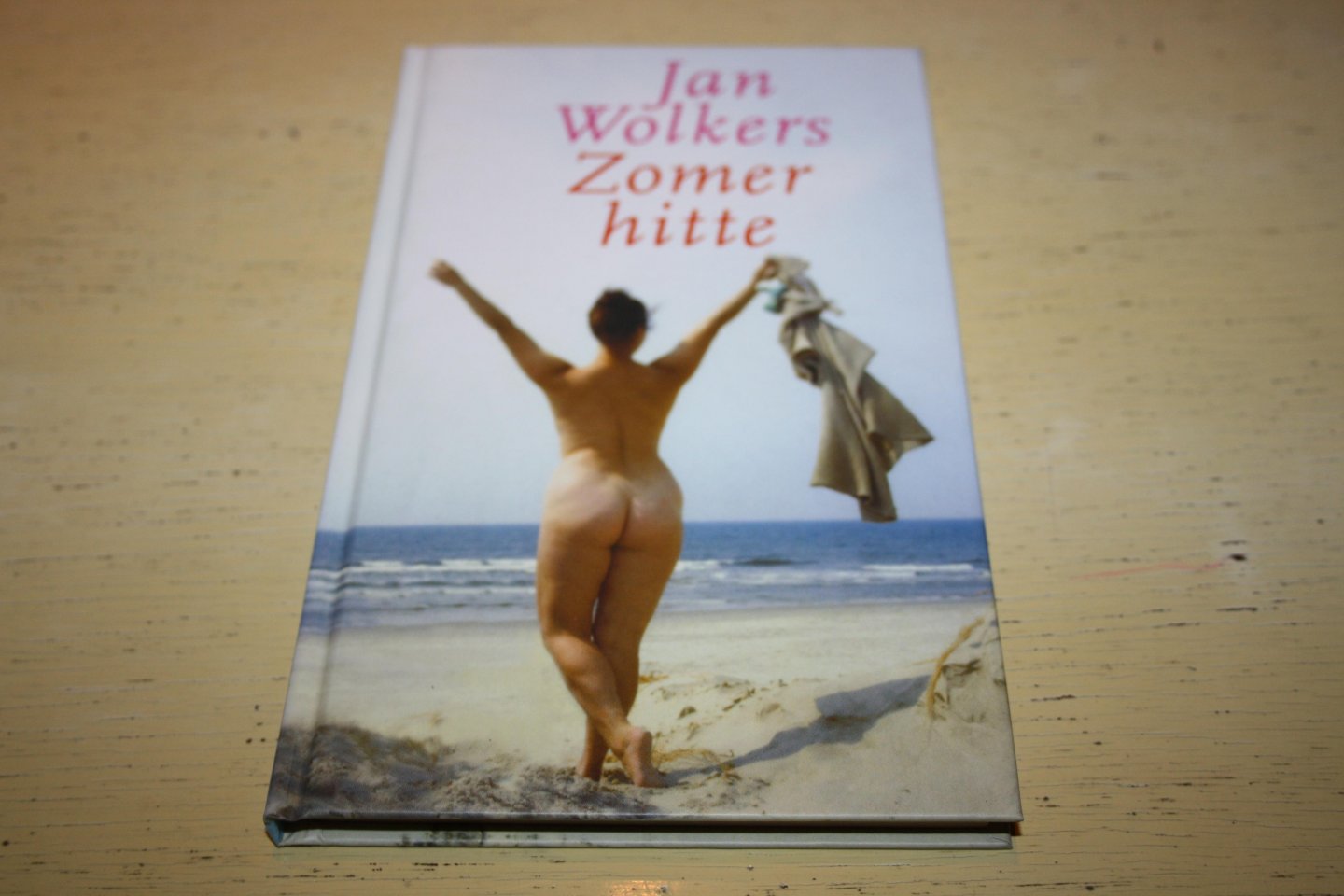 Jan Wolkers - Zomerhitte