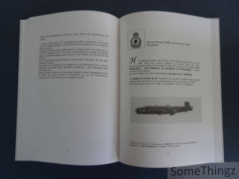 Bellio, Robert en Grossi, Debora - Gevallen vleugels: Houthalen-Helchteren, 1940-1945.