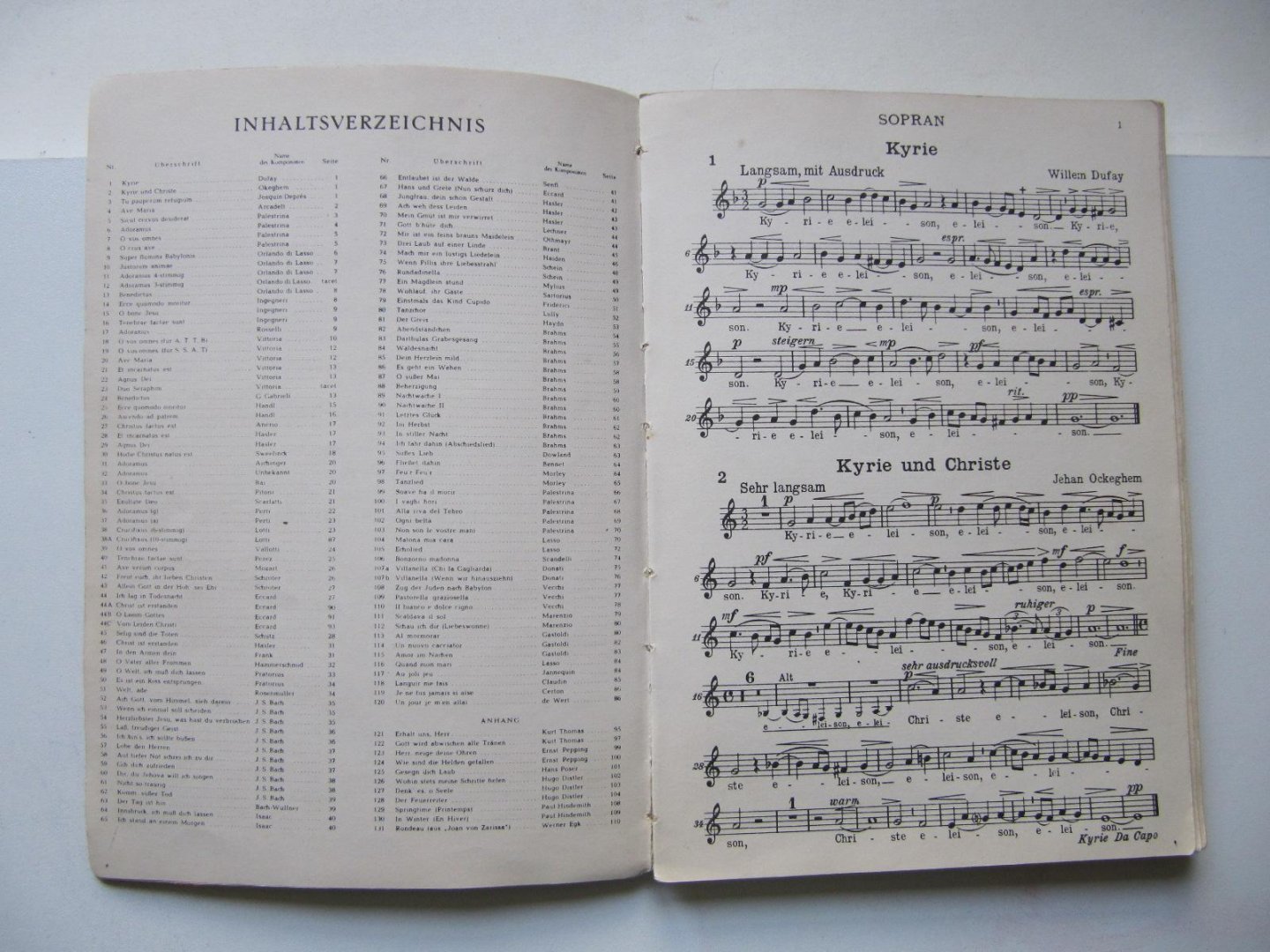 Erika Burkart - Ich suche den blauen Mohn-Pflanzengedichte