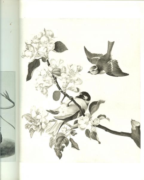 BOL, Laurens Johannes - Bekoring van het kleine. Nederlands Kunstbezit uit openbare verzamelingen  .. Met 64 afbeeldingen waarvan 16 in kleur