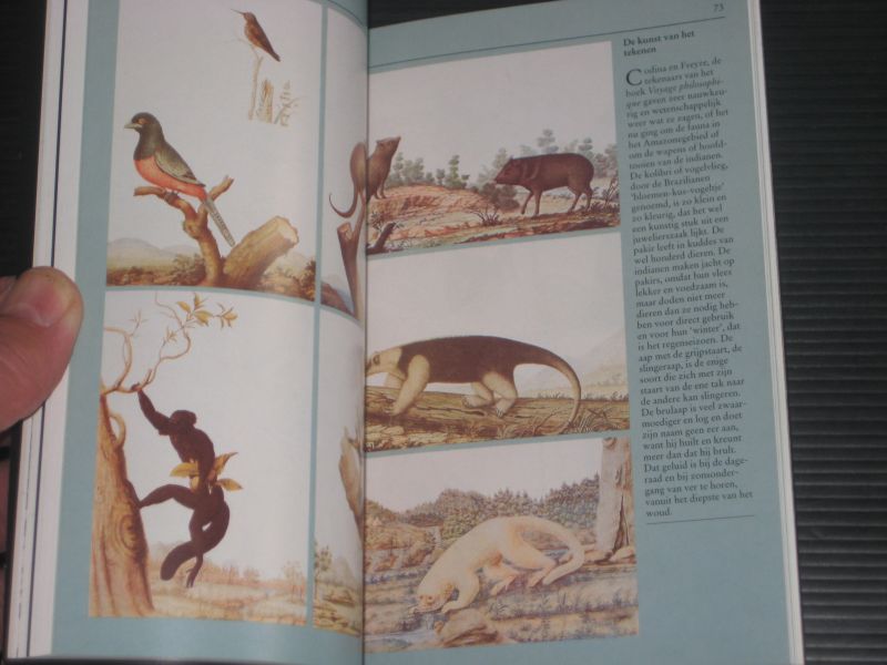 Gheerbrant, Alain - Naar de bron van de Amazone