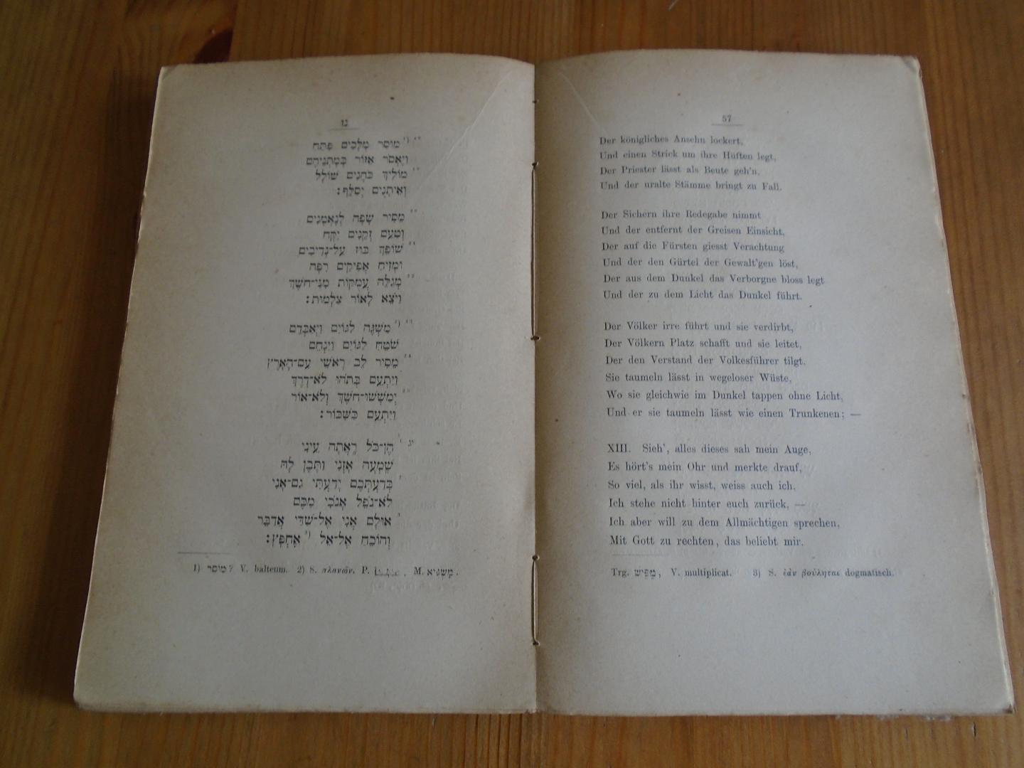 Merx, Adalbert - Das Gedicht von Hiob. Hebräischer Text, kritisch bearbeitet und übersetzt, nebst sachlicher und kritischer Einleitung