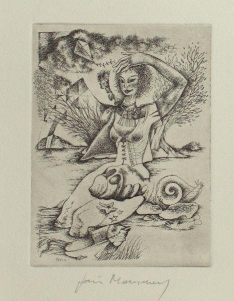 Mommen, Joris. - 'Natuurfantasie'