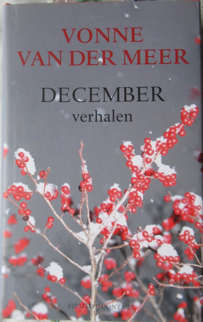 Meer, Vonne van der - December verhalen