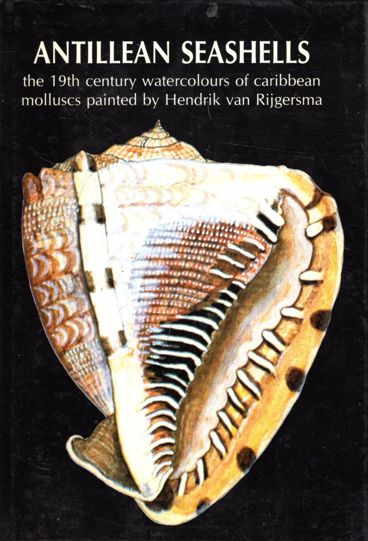 Coomans, Henry E. - Antillean seashells : the 19th century watercolours of caribbean molluscs painted by Hendrik van Rijgersma.