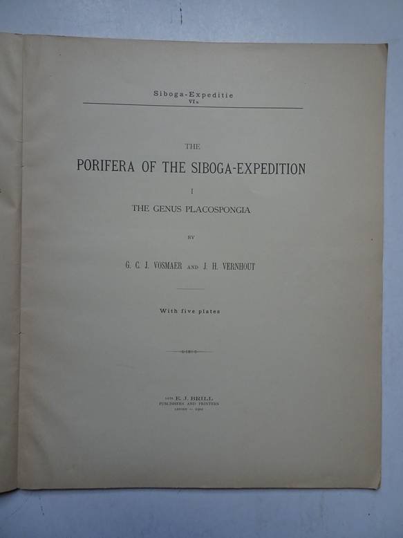 Vosmaer, G.C.J. & Vernhout, J.H.. - Siboga-expeditie. The porifera of the Siboga-expedition, 1. the genus placospongia. Monographie VIa of: uitkomsten op zoologisch, botanisch, oceanografisch en geologisch gebied, verzameld in Nederlandsch Oost-Indië 1899-1900 aan boord H.M. Sib...