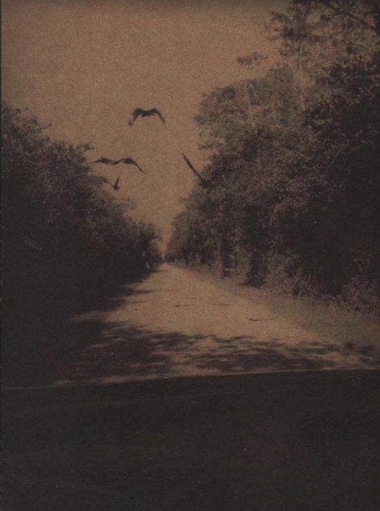 Teunissen, Bert - On the Road — Everglades