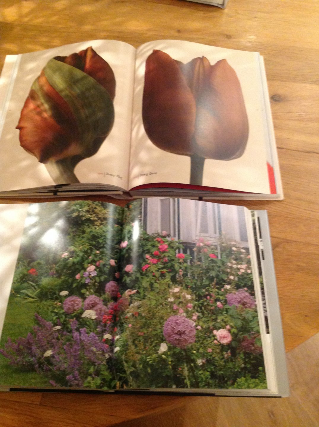 Meijer, Rien - Royal flowers of the Netherlands