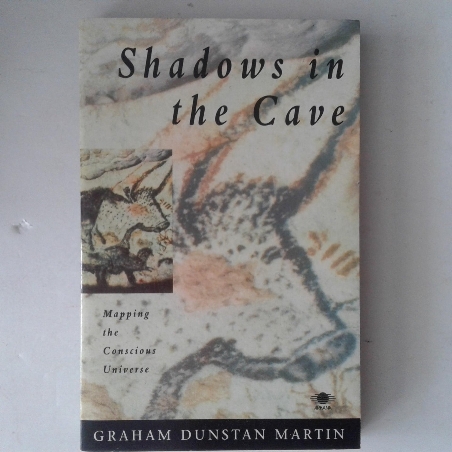 Martin, Graham Dunstan - Shacows in the Cave ; Mapping the Concious Universe
