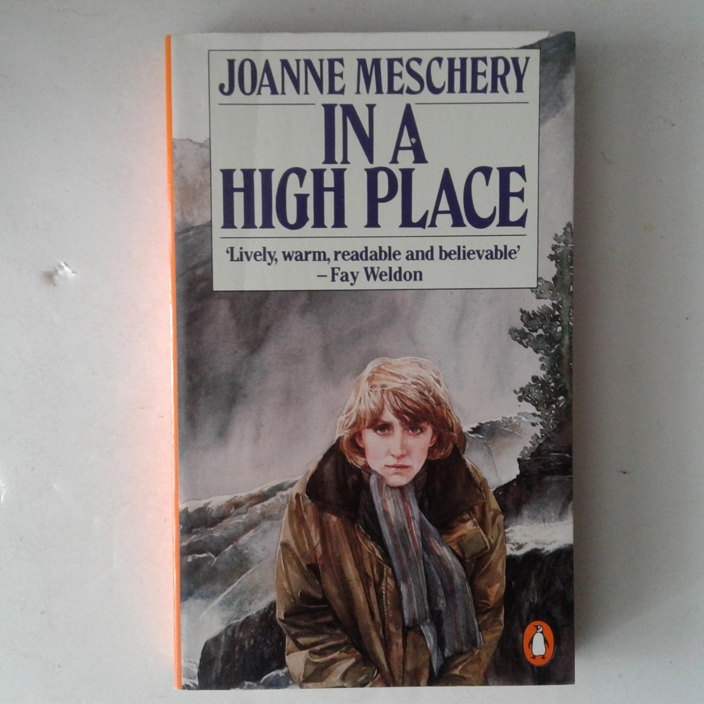 Meschery, Joanne - In a High Place