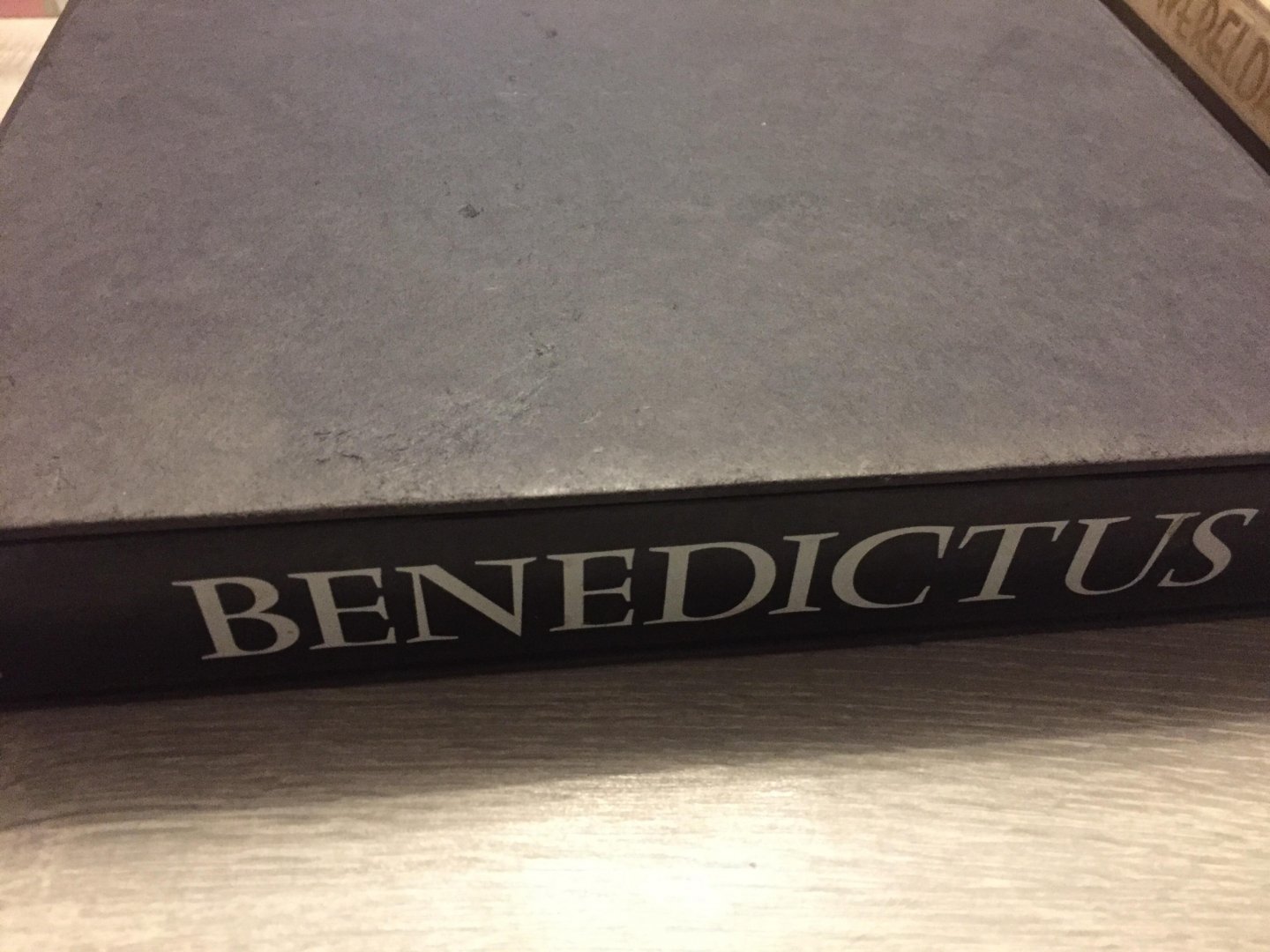 Victor Dammertz - Benedictus Pater Europae