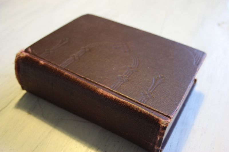 Snijder, J. en Dijkstra, R. - Campagne s Schoolwoordenboek der Hoogduitsche en Nederlandsche taal