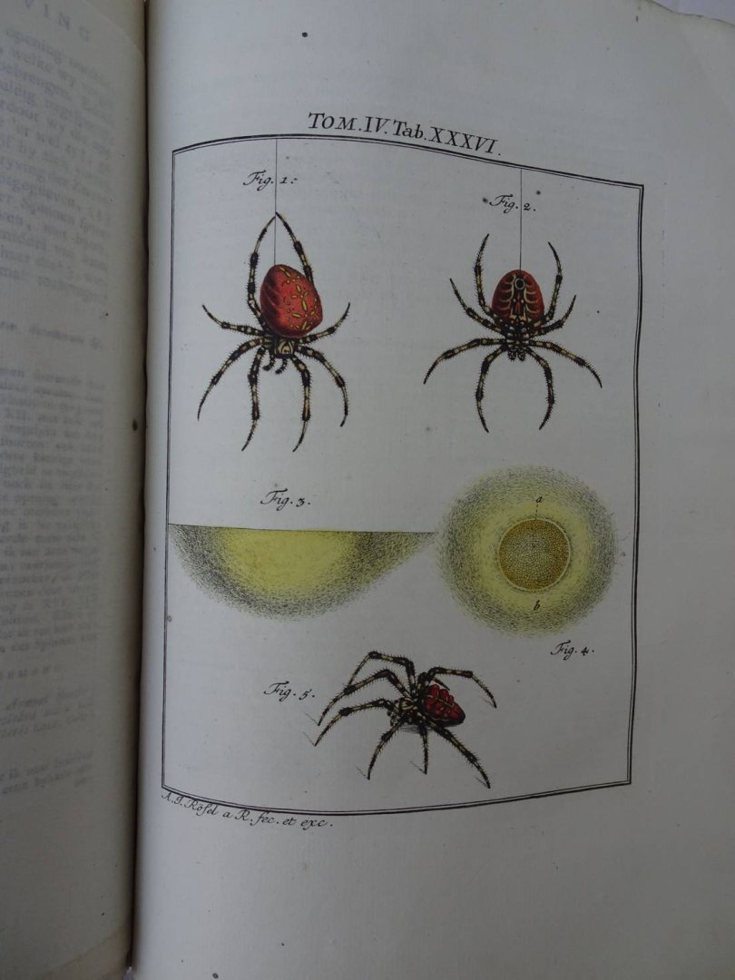 Rösel von Rosenhof, August Johan and C.FC. Kleemann. - De natuurlyke historie der insecten. Voorzien met naar `t Leven getekende en gekoleurde Plaaten. Volgens eigen ondervindling beschreeven, door de Heer August Johann Rösel, van Rosenhof, Miniatuur-Schilder. Met zeer nutte en fraaie Aanmerkingen...