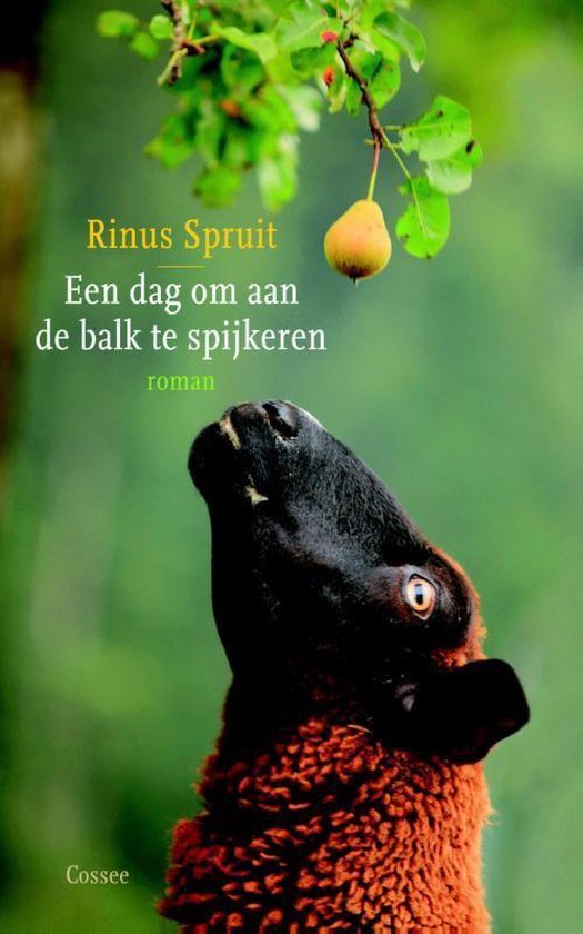 Spruit, Rinus - Een dag om aan de balk te spijkeren