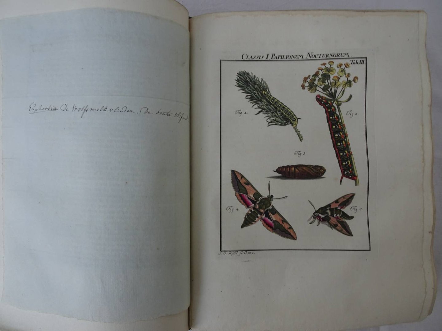 Rösel von Rosenhof, August Johan and C.FC. Kleemann. - De natuurlyke historie der insecten. Voorzien met naar `t Leven getekende en gekoleurde Plaaten. Volgens eigen ondervindling beschreeven, door de Heer August Johann Rösel, van Rosenhof, Miniatuur-Schilder. Met zeer nutte en fraaie Aanmerkingen...