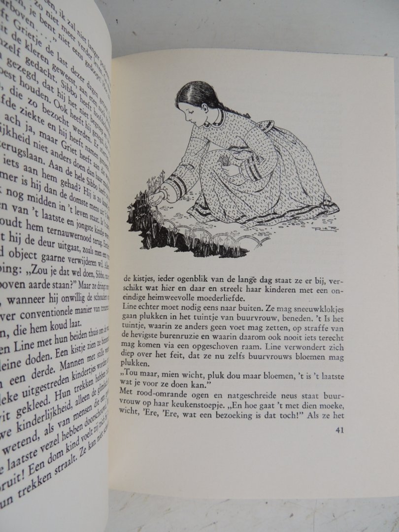 Renes-Boldingh M.A.M. - De ongeschreven Roman