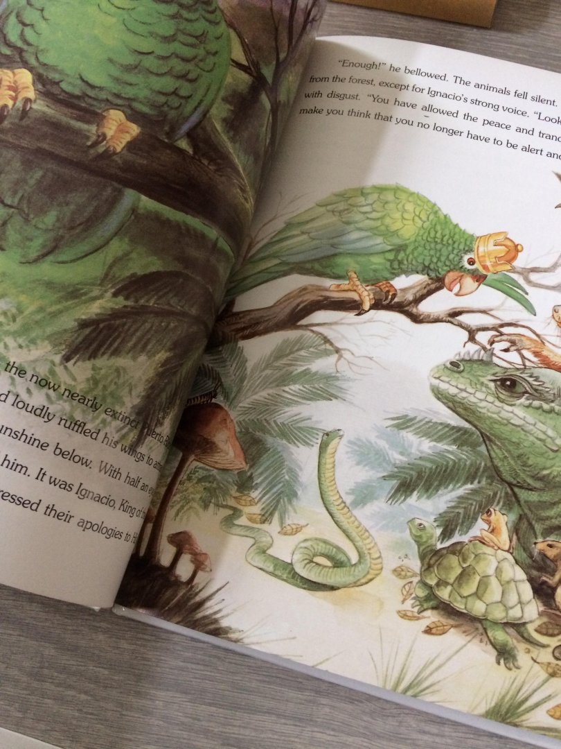 David García - Fairy Tales of Puerto Rico