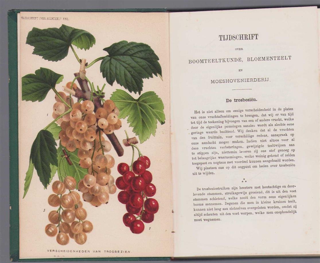 Cercle d'Arboriculture de Belgique. - Tijdschrift over boomteeltkunde, bloementeelt en moeshovenierderij
