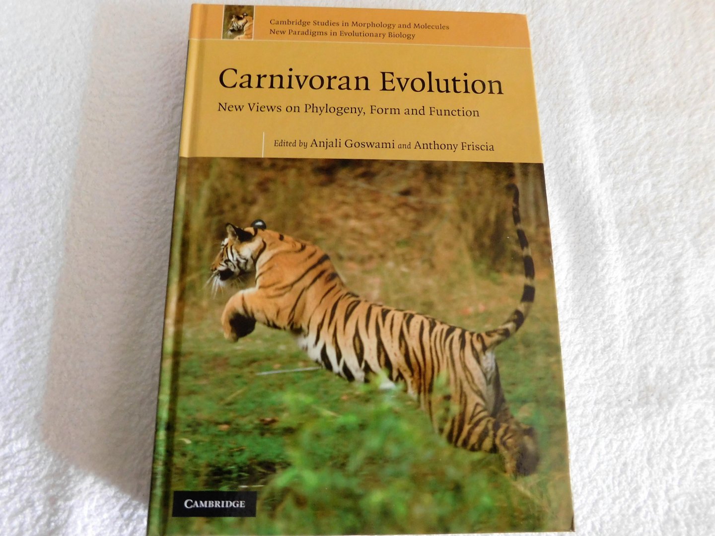 Anjali Goswami - Carnivoran Evolution / New Views on Phylogeny, Form, and Function