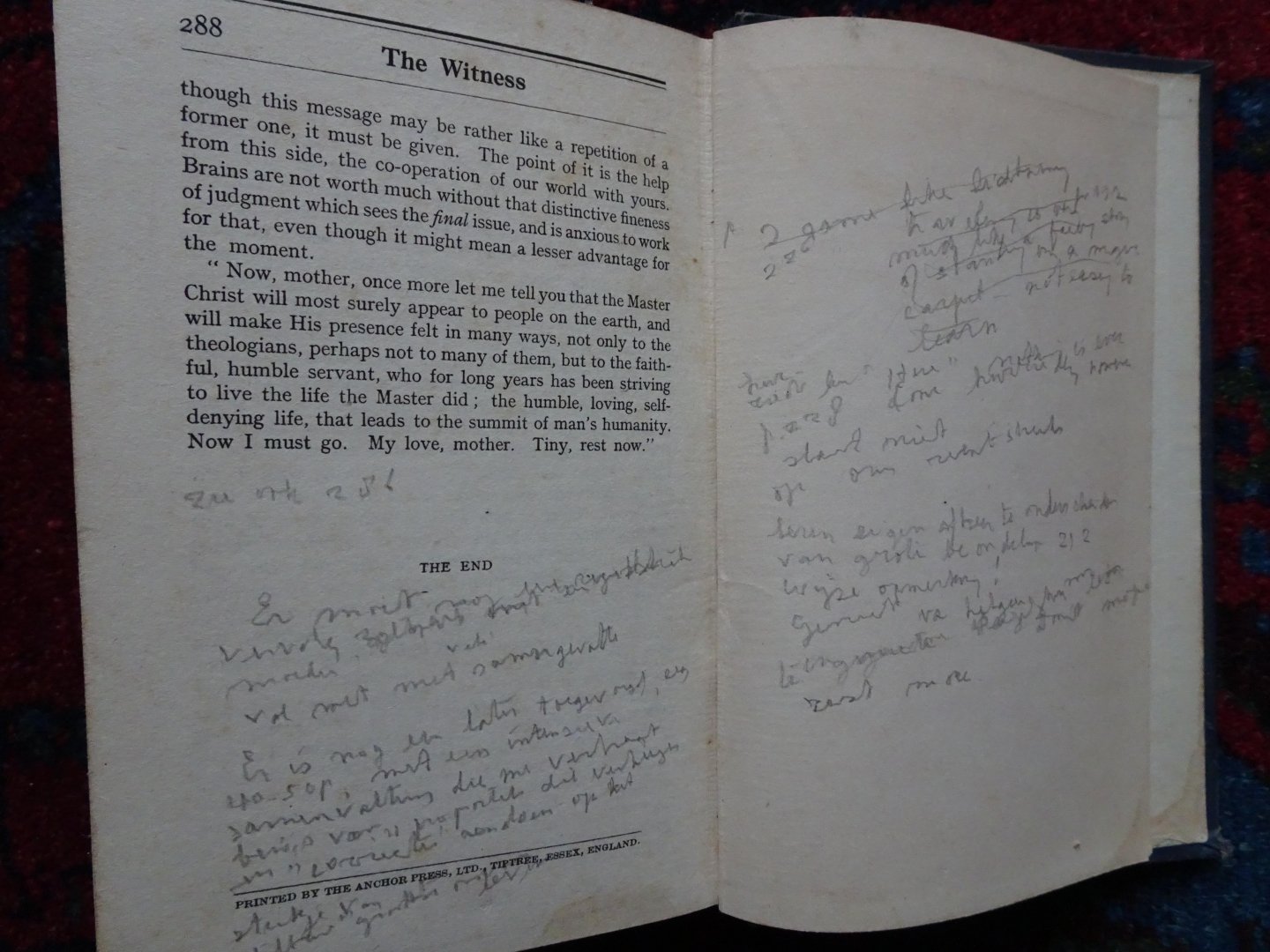 Platts, Jessie - THE WITNESS Written down by Jessie Platts