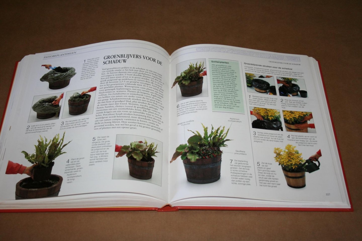 Sue Phillips - De Praktische Kuipplanten-Encyclopedie  --- Creatief tuinieren in potten, kuipen, bakken en manden