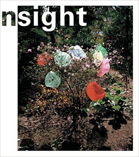 Visser, H. - In sight Contemporary Dutch Photgraphy from the Collection of the Stedelijk Museum.