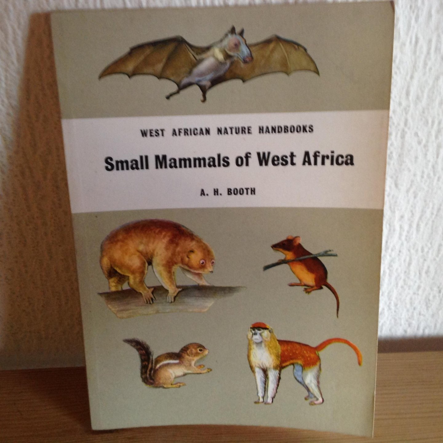 Booth - Small Mammals of West Africa