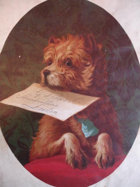 No author. - Plakboek (Scrapbook).