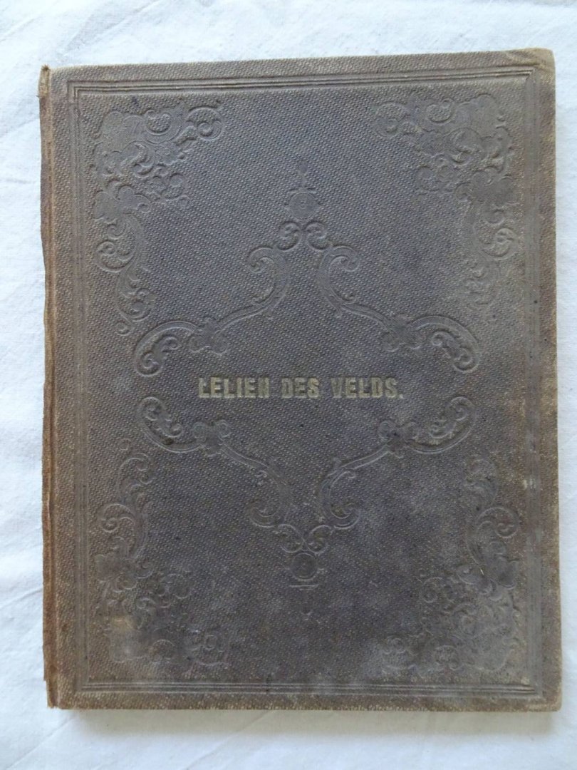 Westrheene, T. van. - Lelien des Velds. Tweetal verhalen voor meisjes.