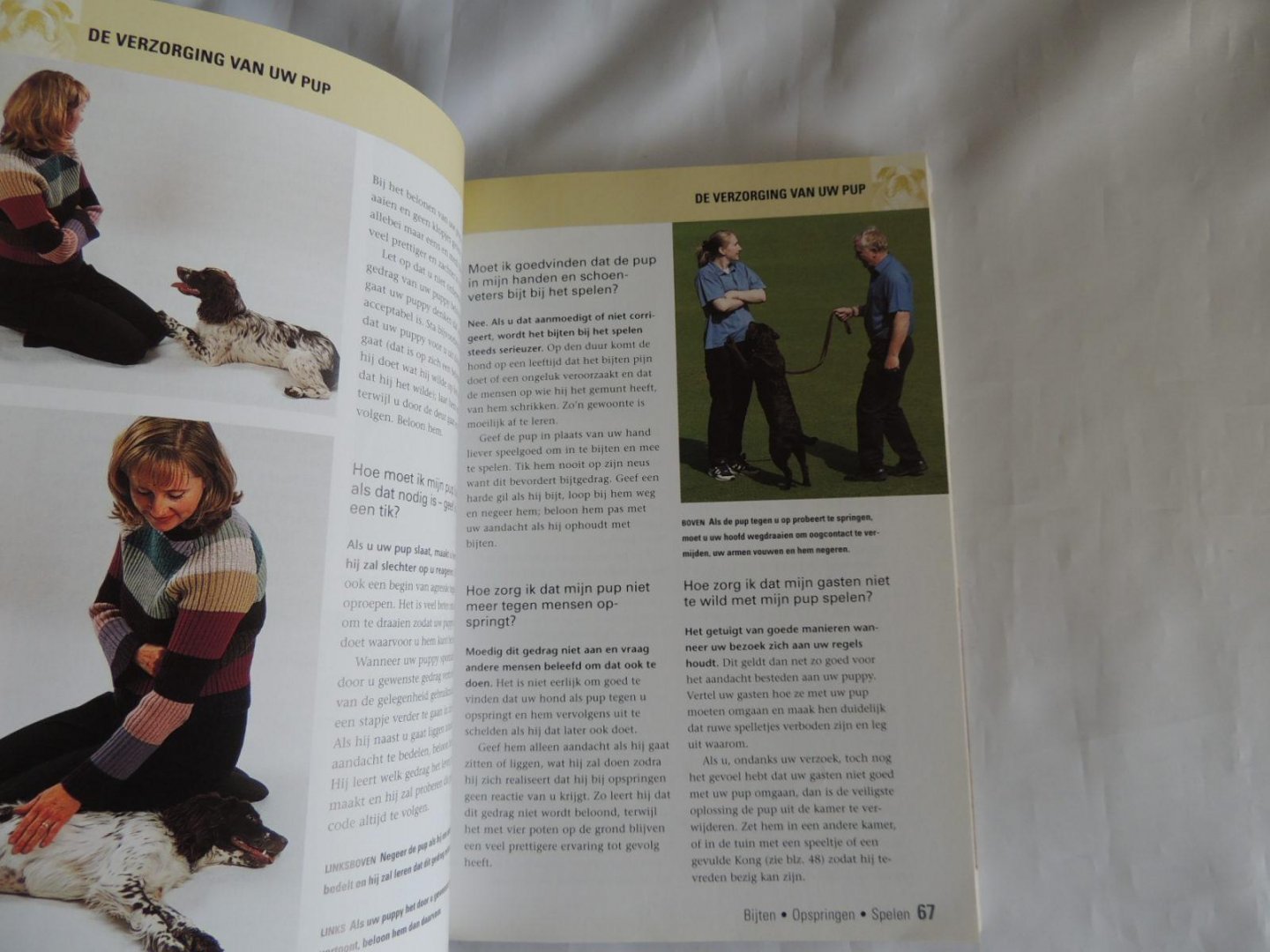 Davis, Caroline - Honden 500 vragen beantwoord