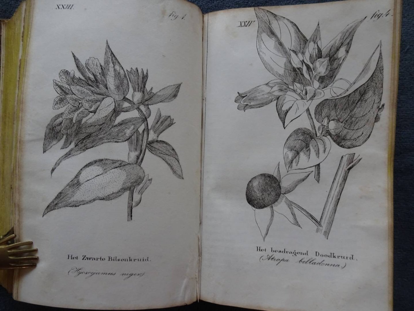 Becker, Rudolph Zacharias. - Noodwendig handboek voor den burger en landman, of onderhoudende en leerrijke geschiedenis van het dorp Mildheim.