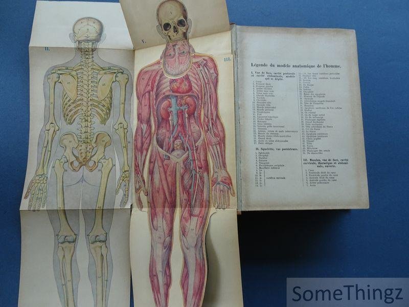 Bilz, F.E. - La médication naturelle. Tome II. Traité populaire de l'histoire naturelle de l'homme, de sa culture phusique, de ses maladies et leur guérison par les moyens simples et naturels.