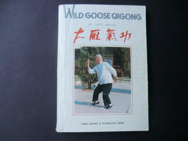 Yang Meijun - Wild Goose Qigong
