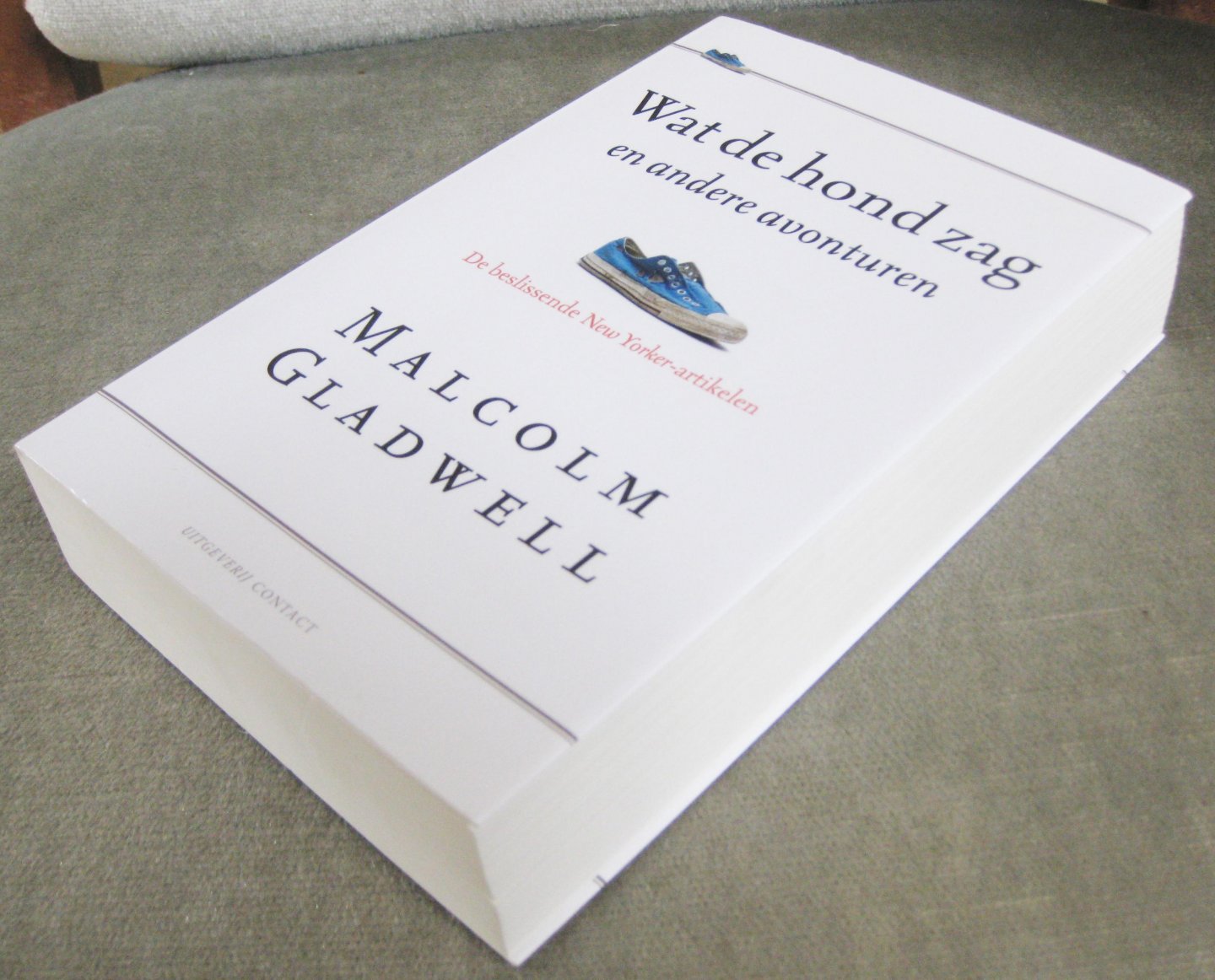 Gladwell, Malcolm - Wat de hond zag en andere avonturen  -  De beslissende New Yorker-artikelen