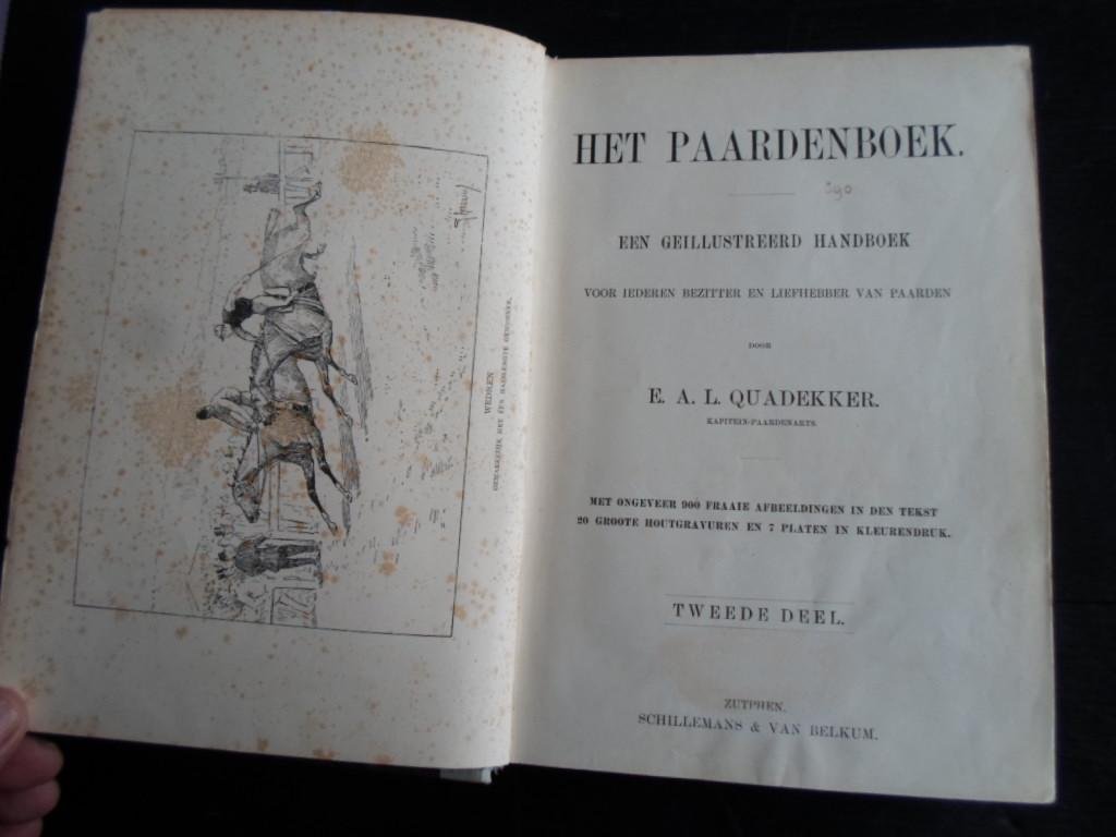 Quadekker, E.A.L. - Het Paardenboek, deel 2, Een geïllustreerd handboek voor iederen bezitter en liefhebber van paarden
