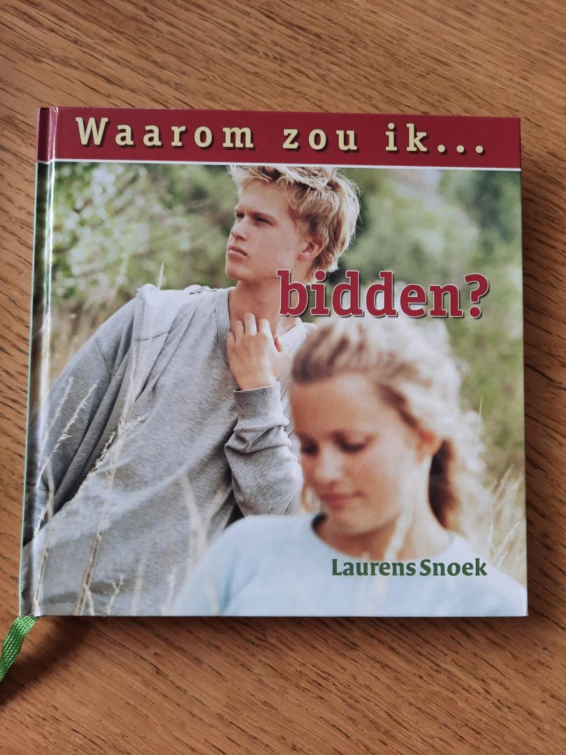 Laurens Snoek - Waarom zou ik bidden?