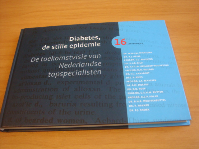 Diverse auteurs - Diabetes, de stille epidemie - De toekomstvisie van nederlandse topspecialisten