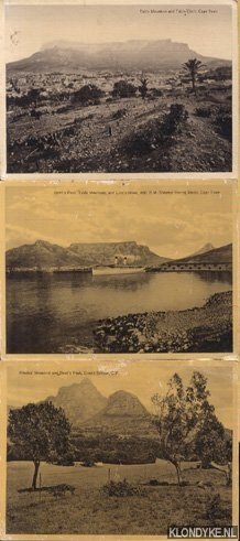 Diverse auteurs - 3x Giant Postcard - South Africa - ca. 1916