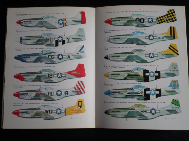 Ward, Richard - North American P-510 Mustang in USAAF-USAF service
